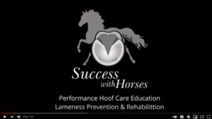 https://successwithhorses.uscreen.io/