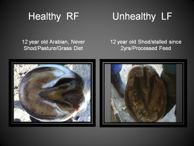 Healthy Efects
