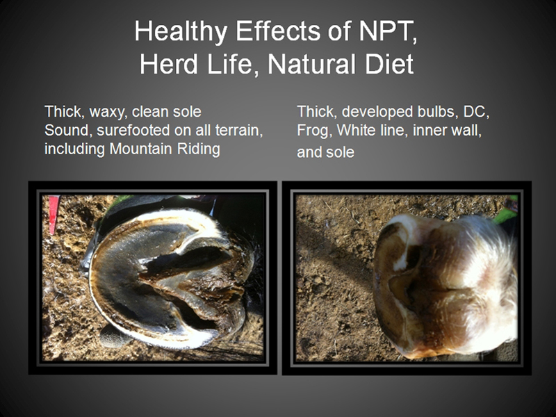 Healthy Efects